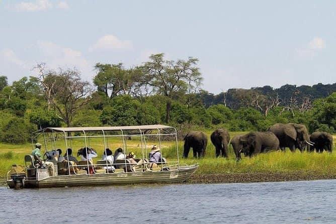 Chobe Day Trip